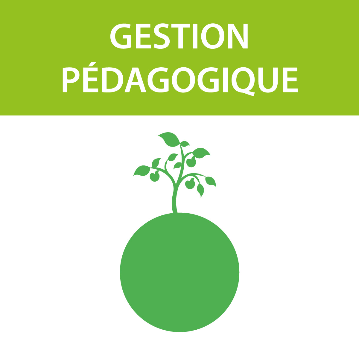 GESTION-PEDAGOGIQUE-vignette-pdf-page-activites-flore-gourmande